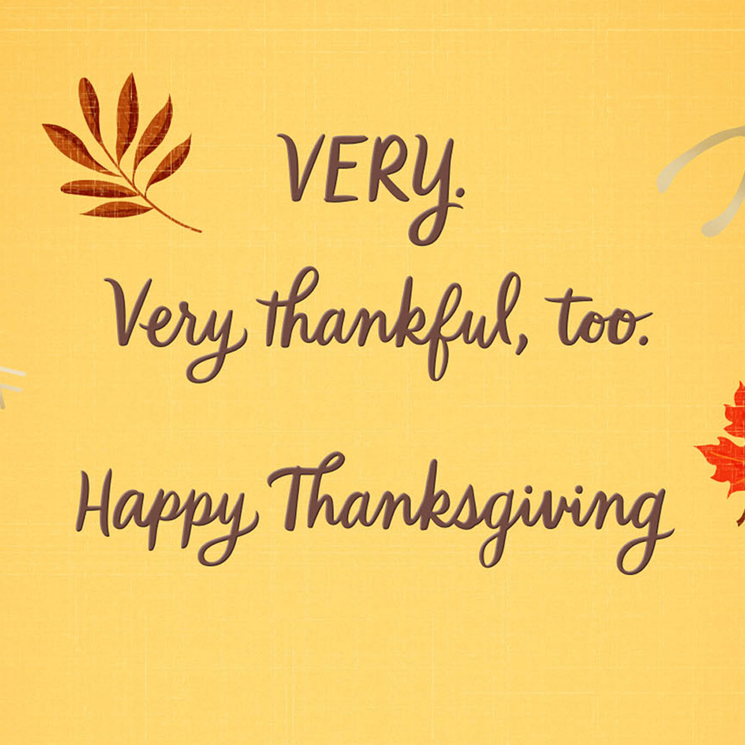 Very Lucky and Thankful Thanksgiving Card for Family for only USD 3.99 | Hallmark