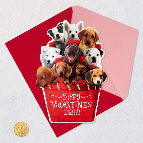 Puppy Dogs in Basket Funny Musical Valentine's Day Card, , large image number 5
