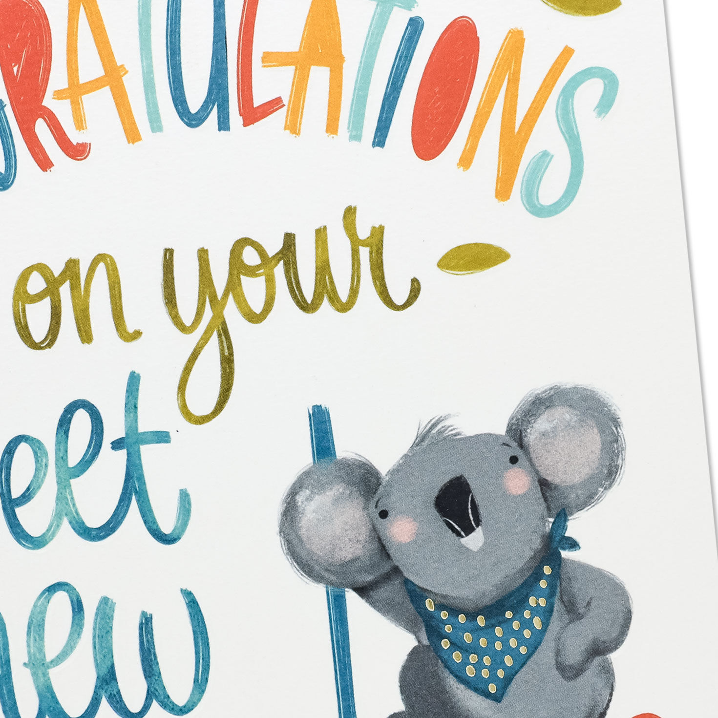 Koala Bear New Baby Grandson Card for Grandparents Card Front Detail image number 4