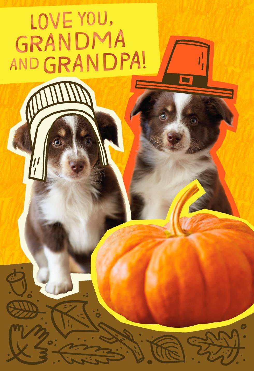 Pilgrim Puppies Thanksgiving Card for Grandparents