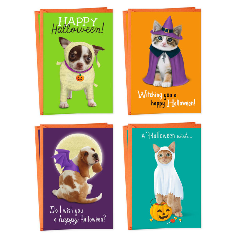 Pets in Costume Assorted Halloween Cards, Pack of 8