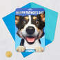 Begging Dog Funny Father's Day Card With Sound, , large image number 6