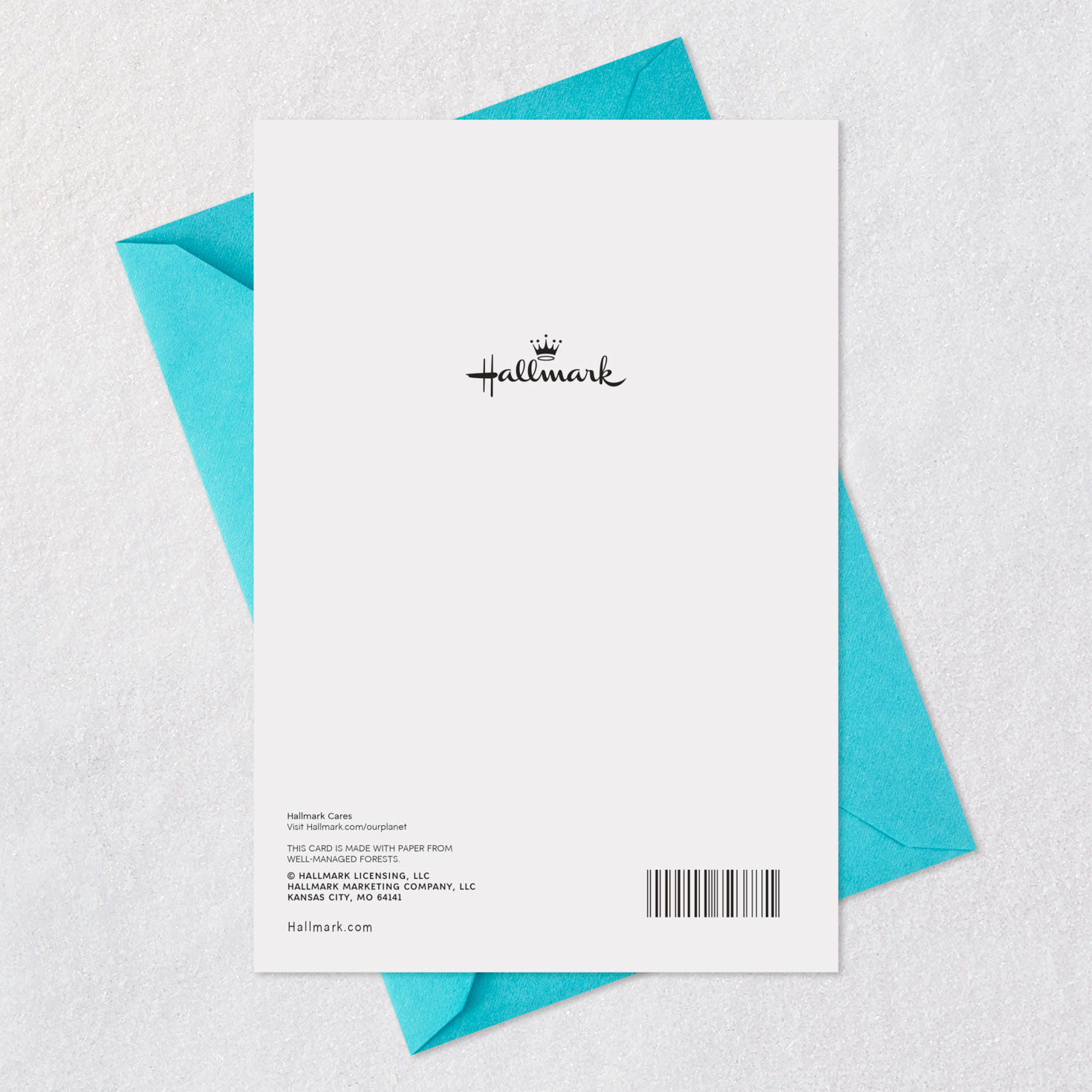 Make a Wish Birthday Card, , large image number 7