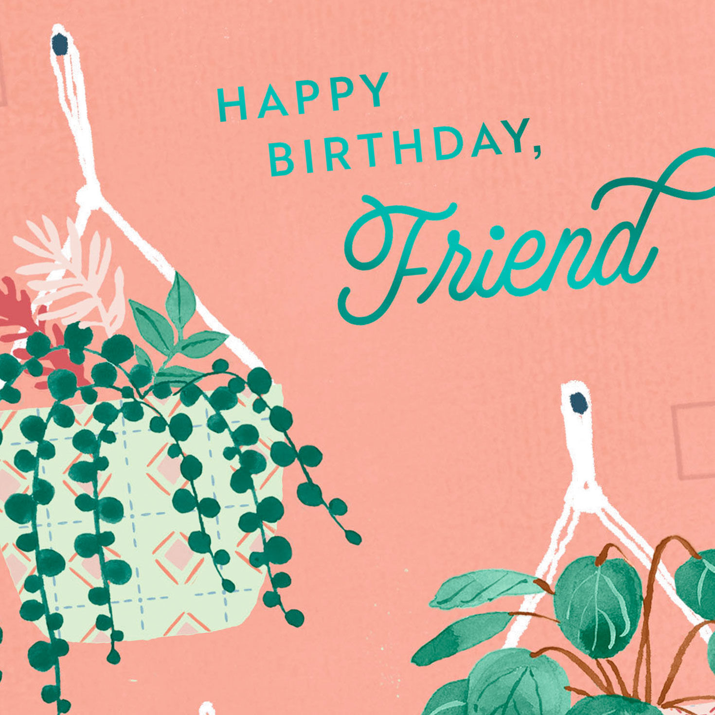 Hanging Plants on Peach Birthday Card Card Front Detail image number 4