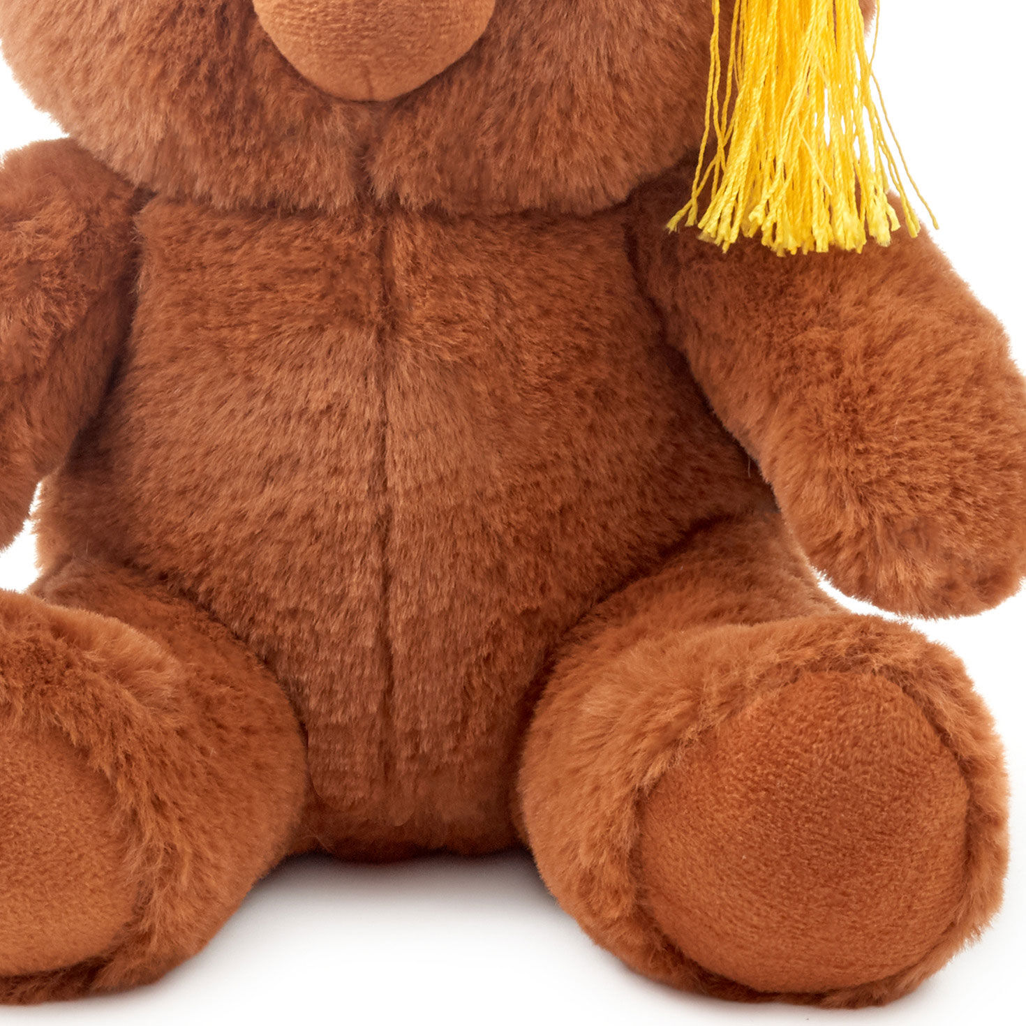 Brown Bear Stuffed Animal With 2025 Grad Cap detail image number 4