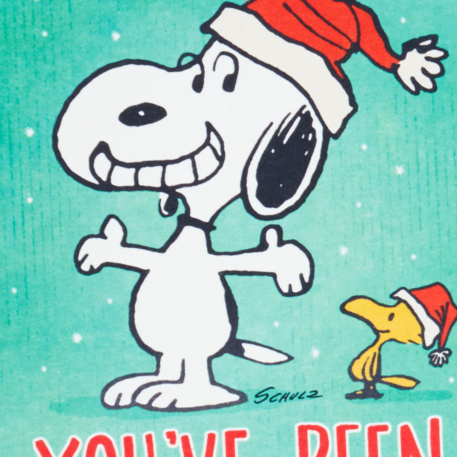 Snoopy and Woodstock Holiday Gift Card Holder Card Cover Detail image number 5