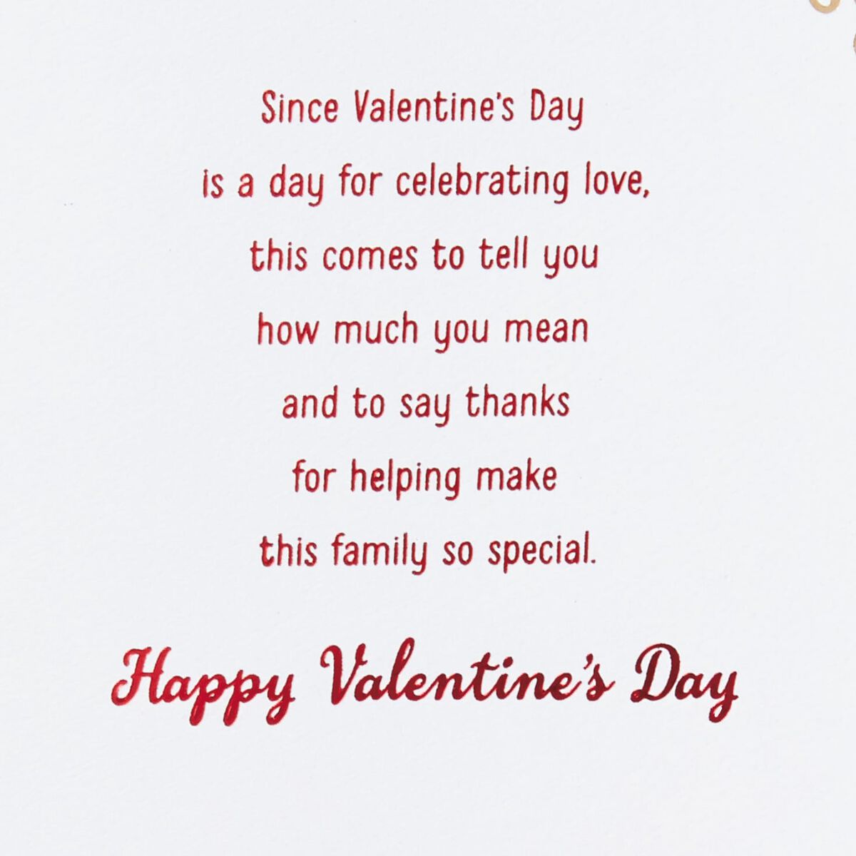 You Make Family Special Son and DaughterinLaw Valentine