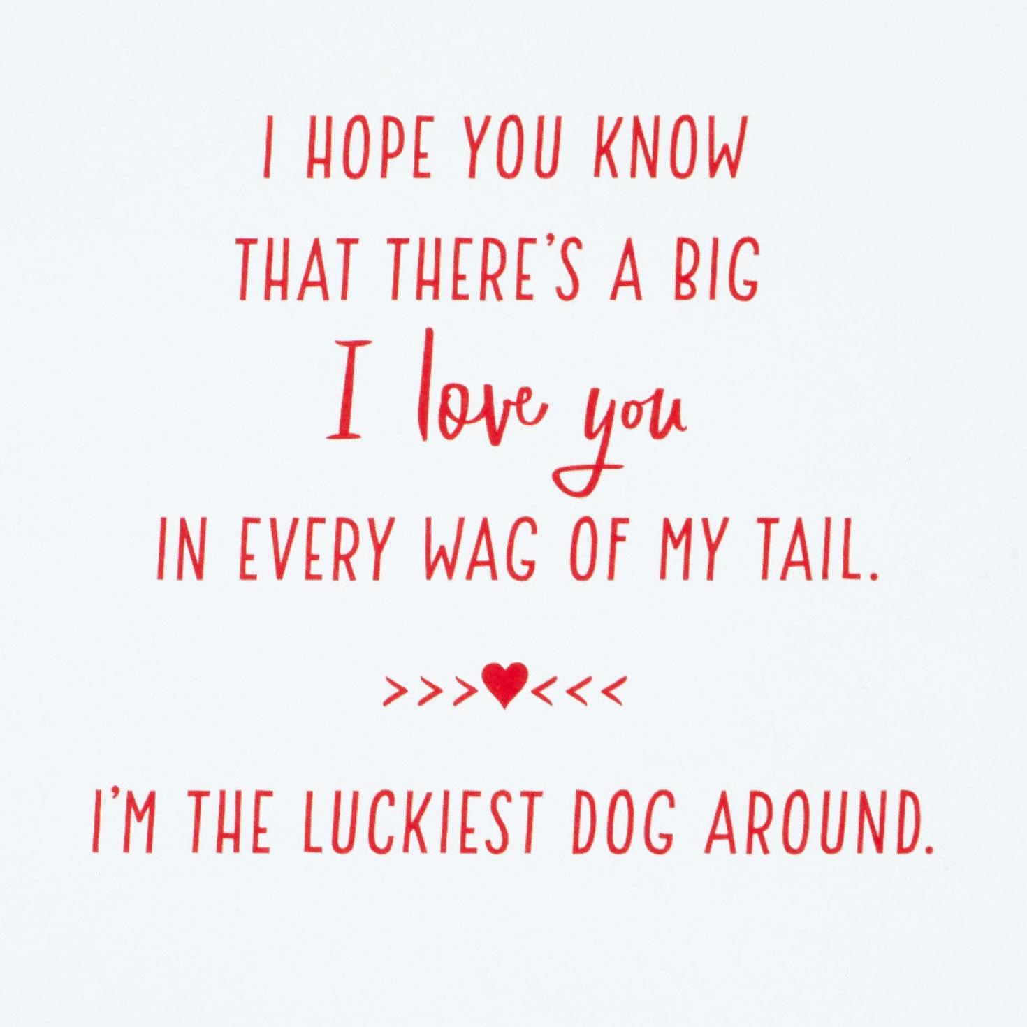 Puppy and Hearts Valentine's Day Card From the Dog sentiment image number 2