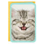 3.25" Mini Cute Kitten Blank Card, , large image number 2