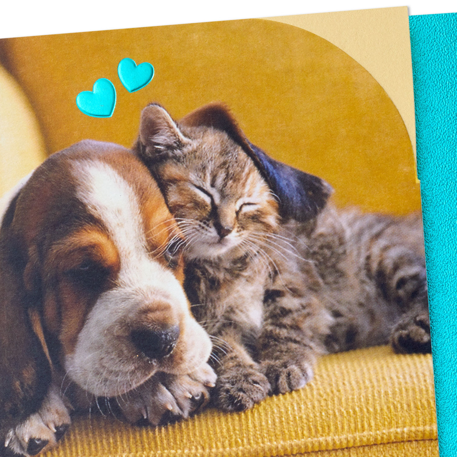 Snoozing Puppy and Kitten Anniversary Card, , large image number 4