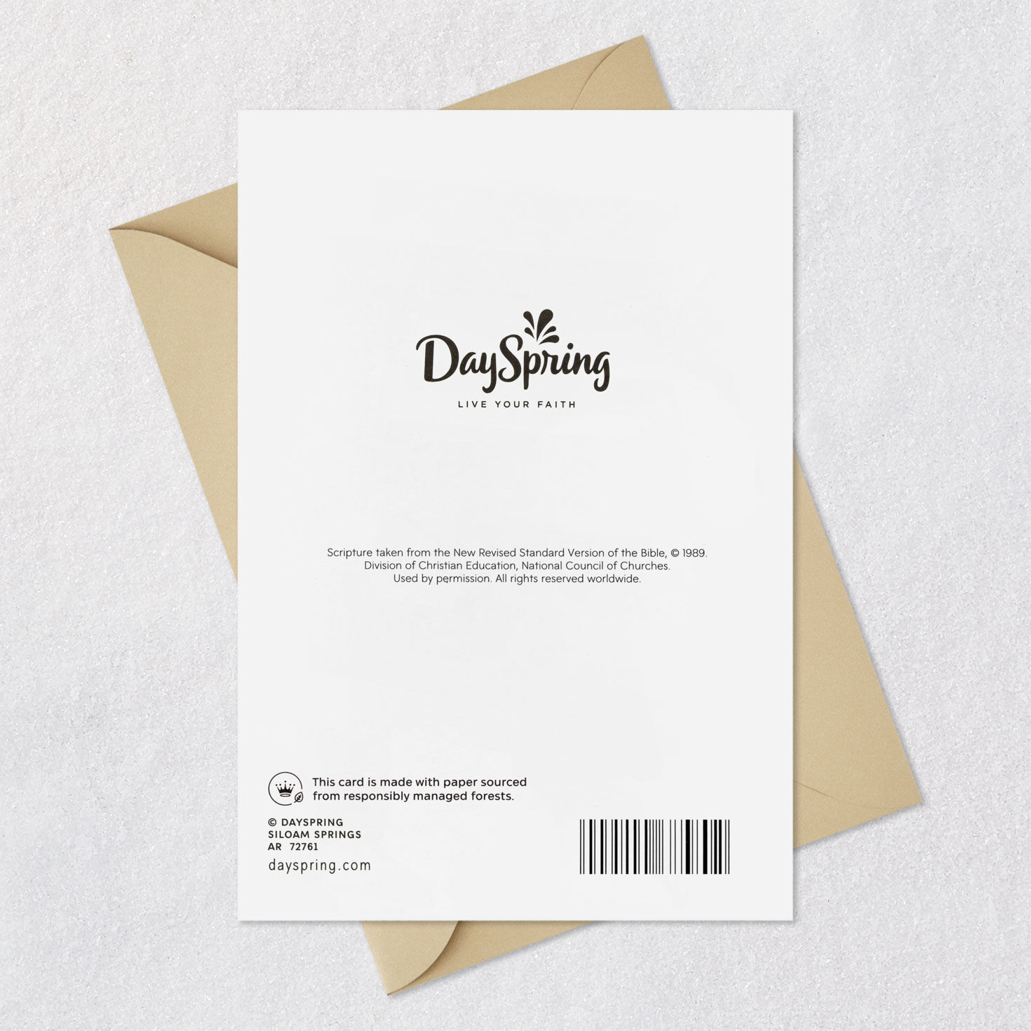 Heaven Understands Religious Sympathy Card for Family, , large image number 8