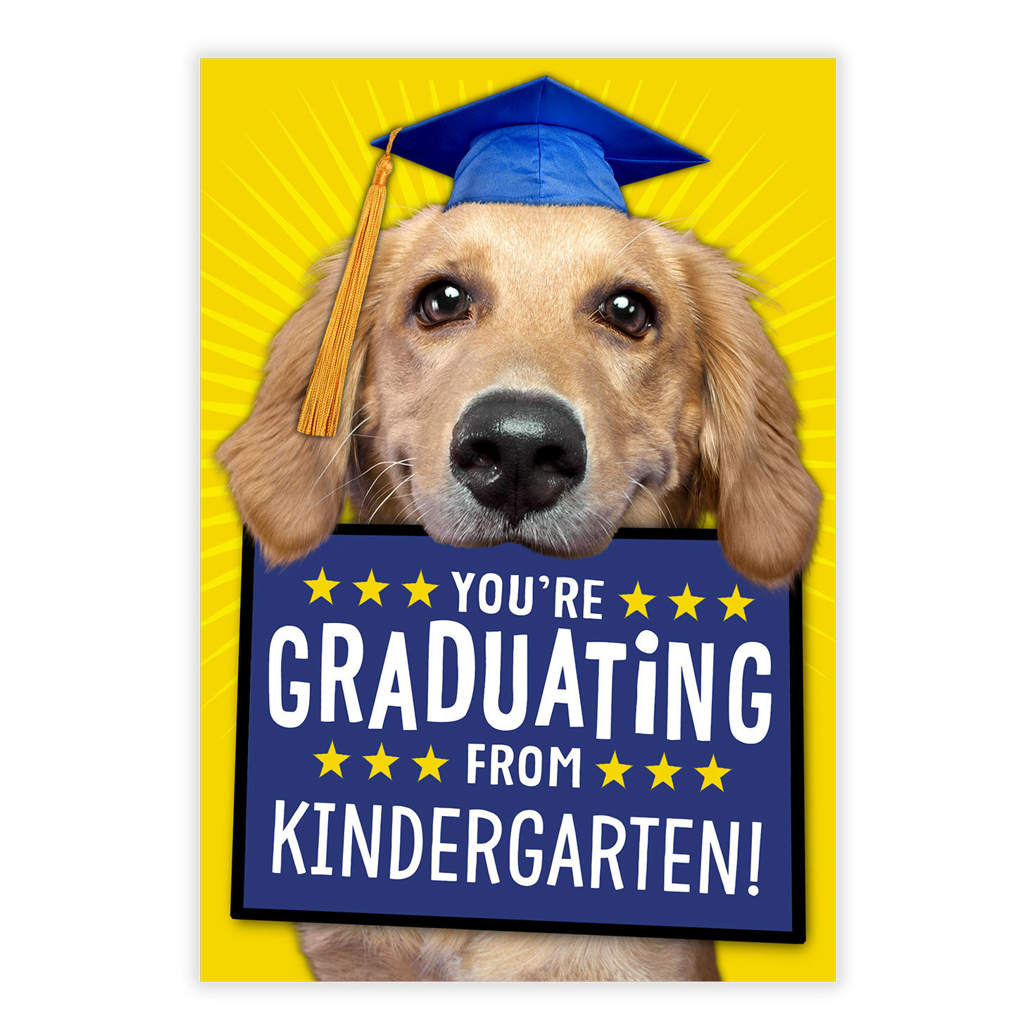 Dog in Hat With Sign Personalized Grad Card front image number 2