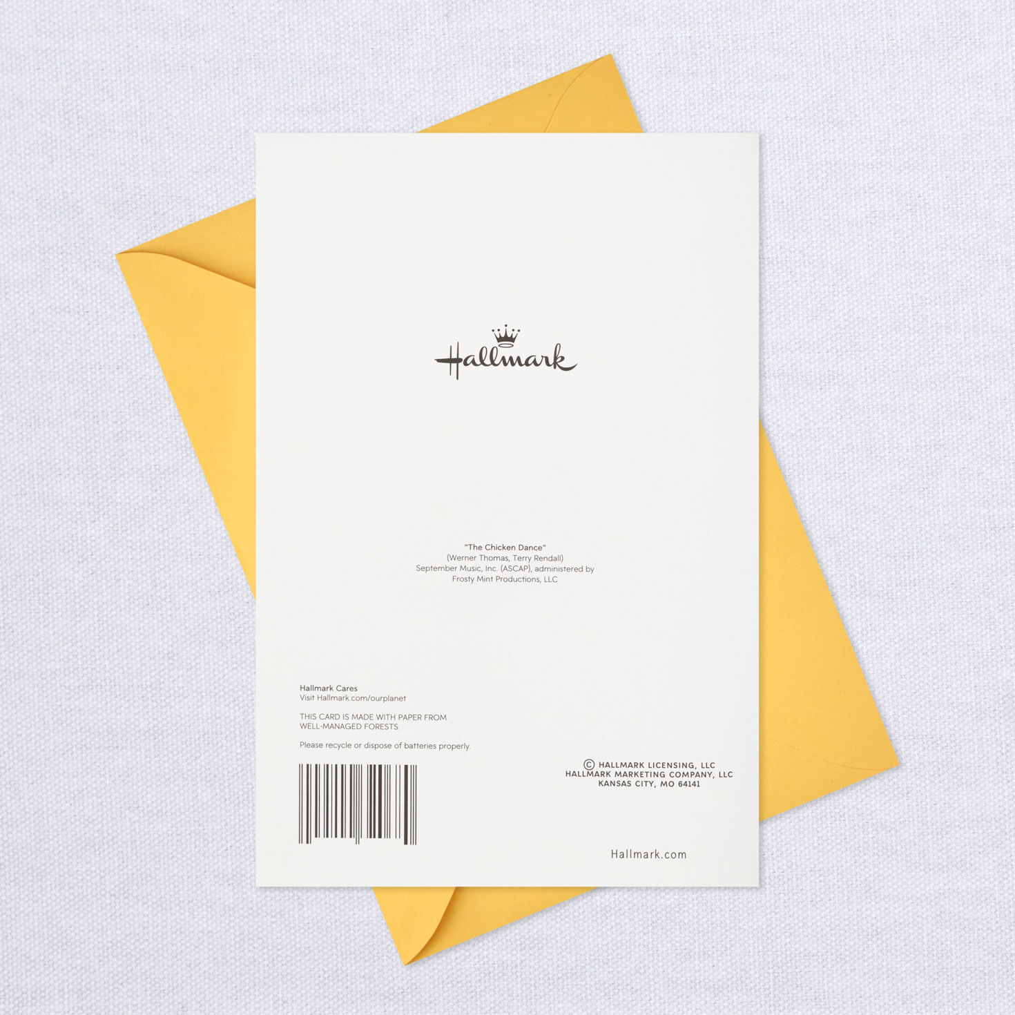 Chicken Dance Funny Musical Easter Card With Motion, , large image number 7