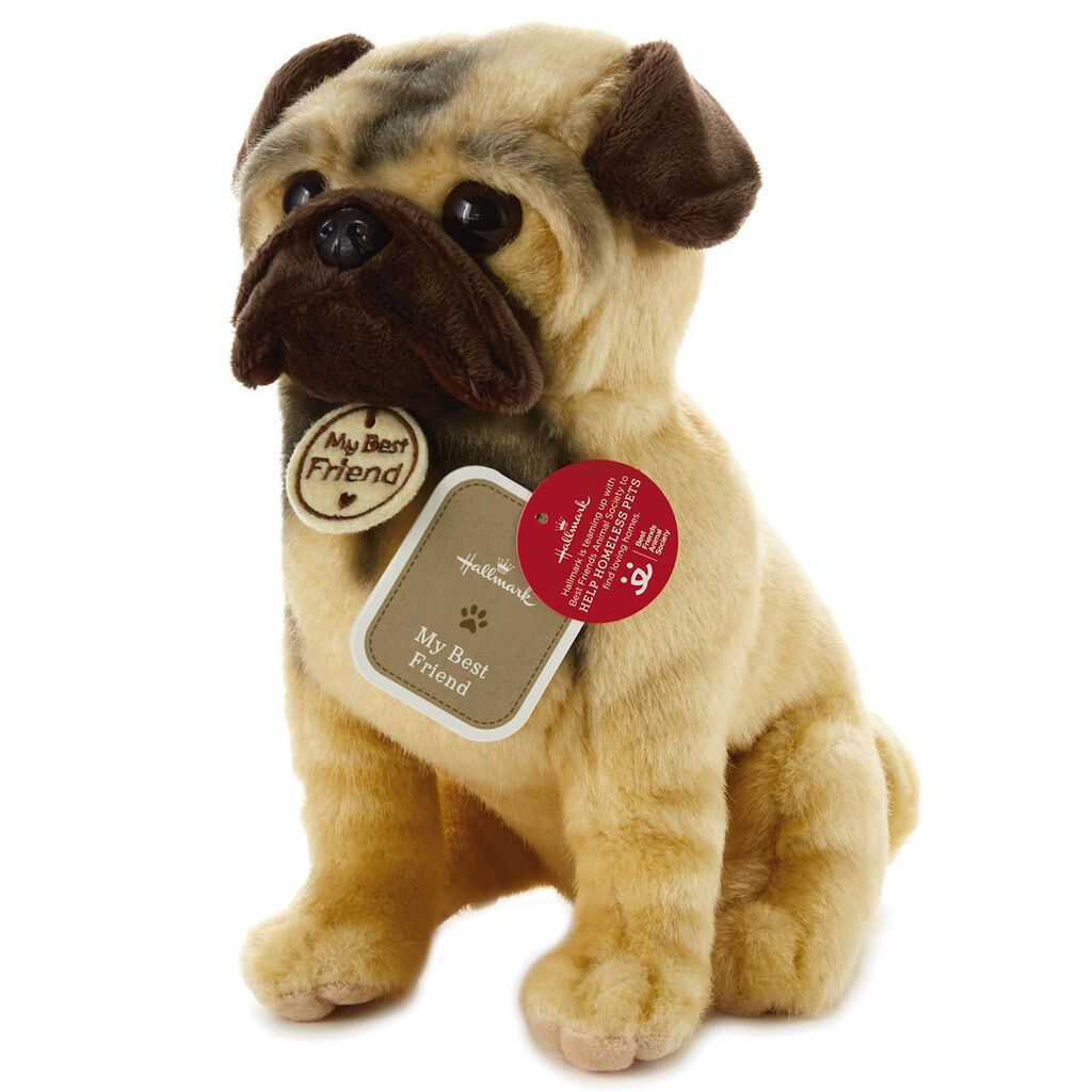 wrinkly puppy stuffed animal