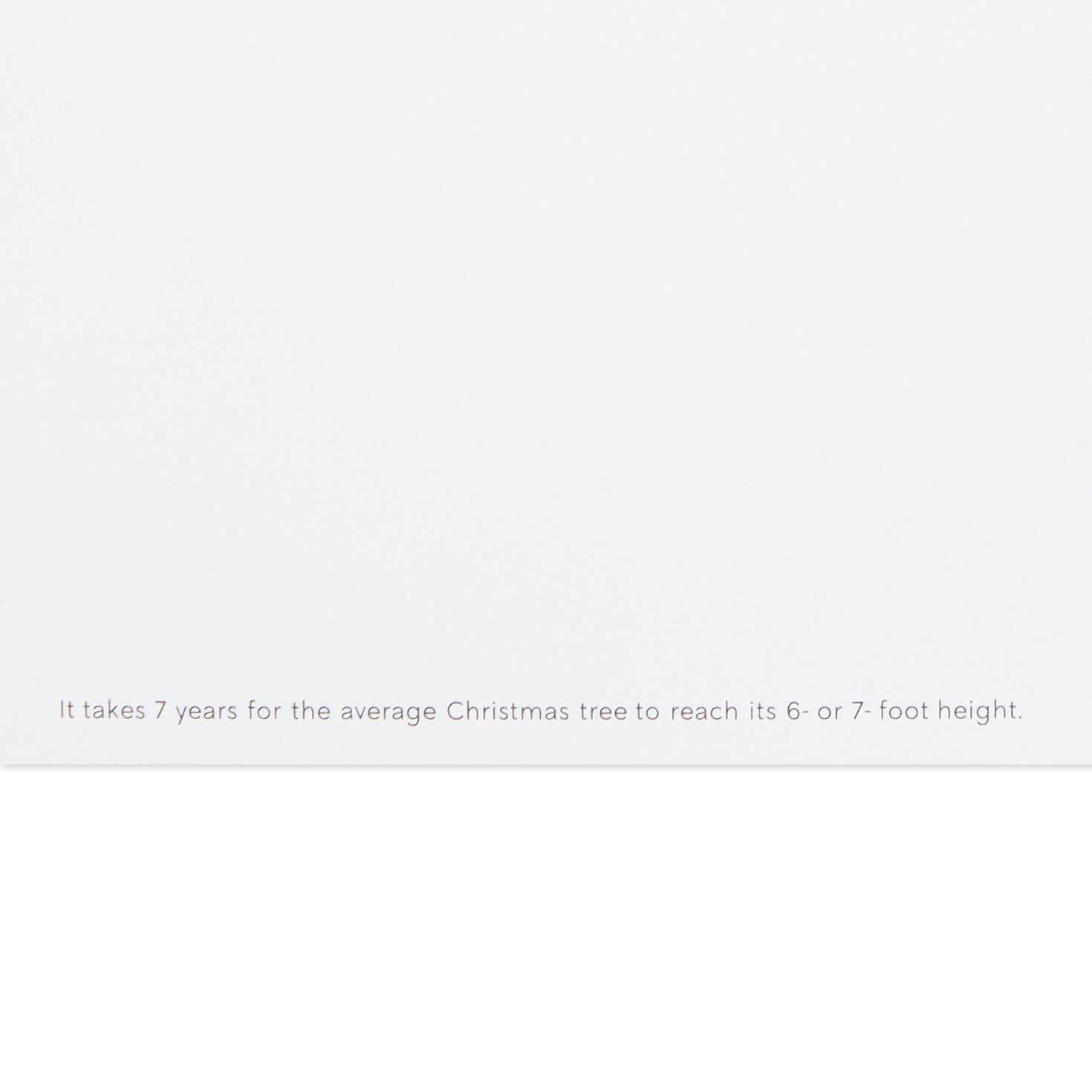 Wintry Homes and Cars UNICEF Boxed Christmas Cards Sentiment image number 5