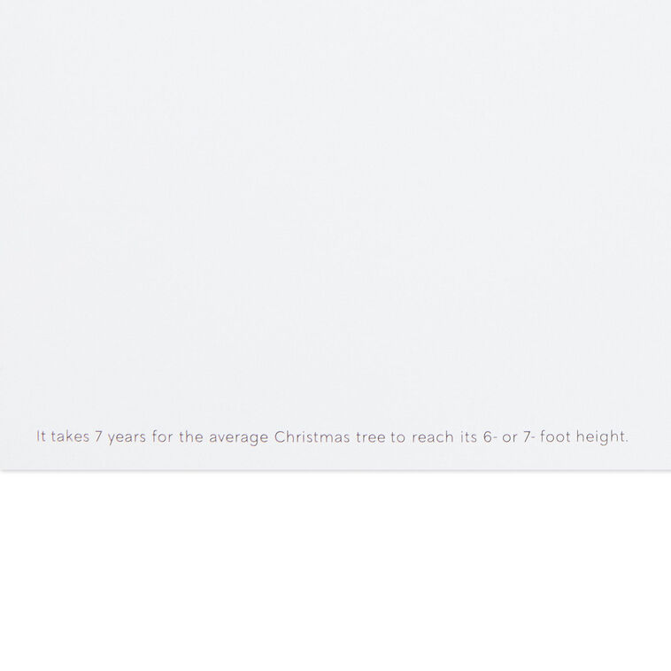 Wintry Homes and Cars UNICEF Boxed Christmas Cards Sentiment image number 5