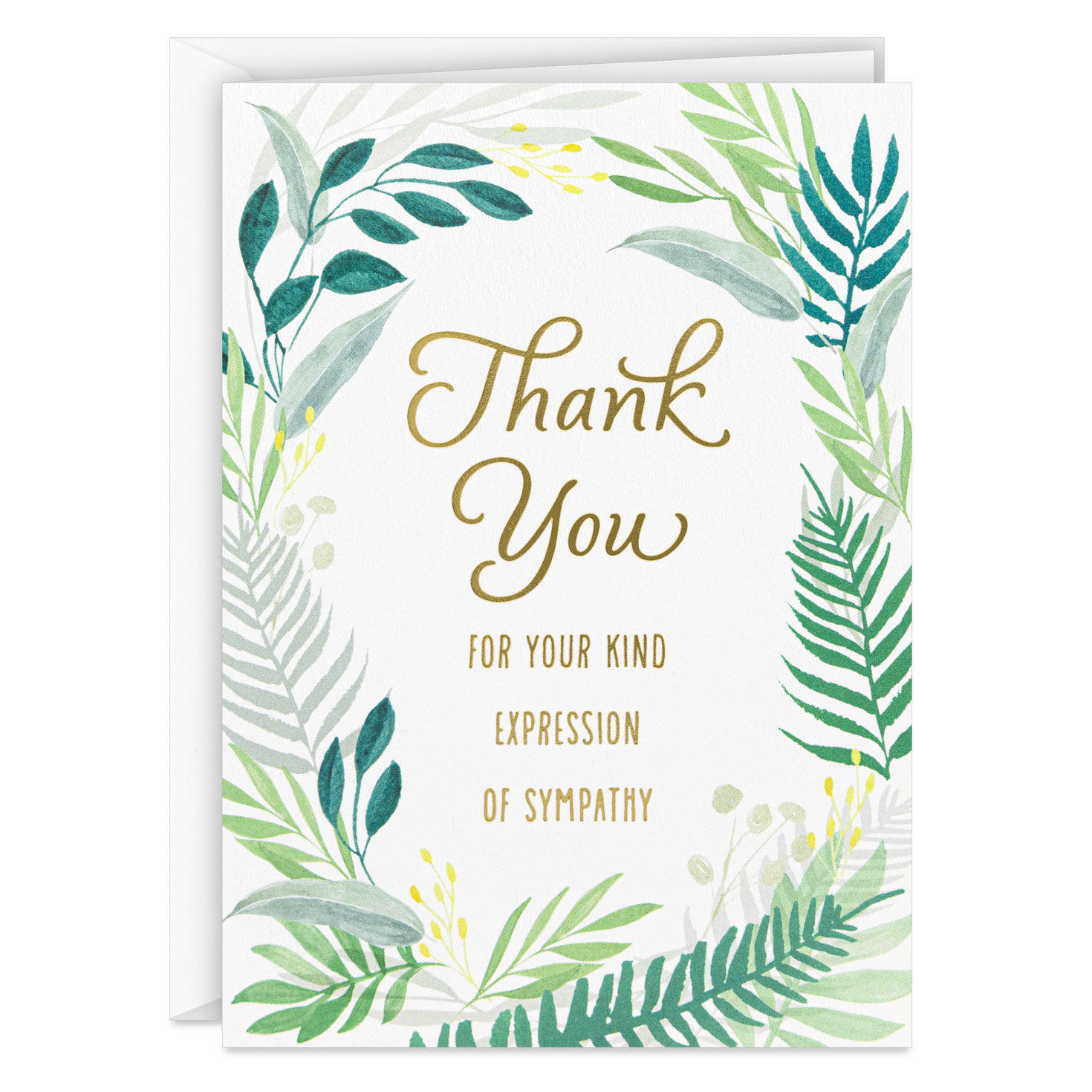 Fern Border Sympathy Thank You Notes, Pack of 10 for only USD 10.49 | Hallmark