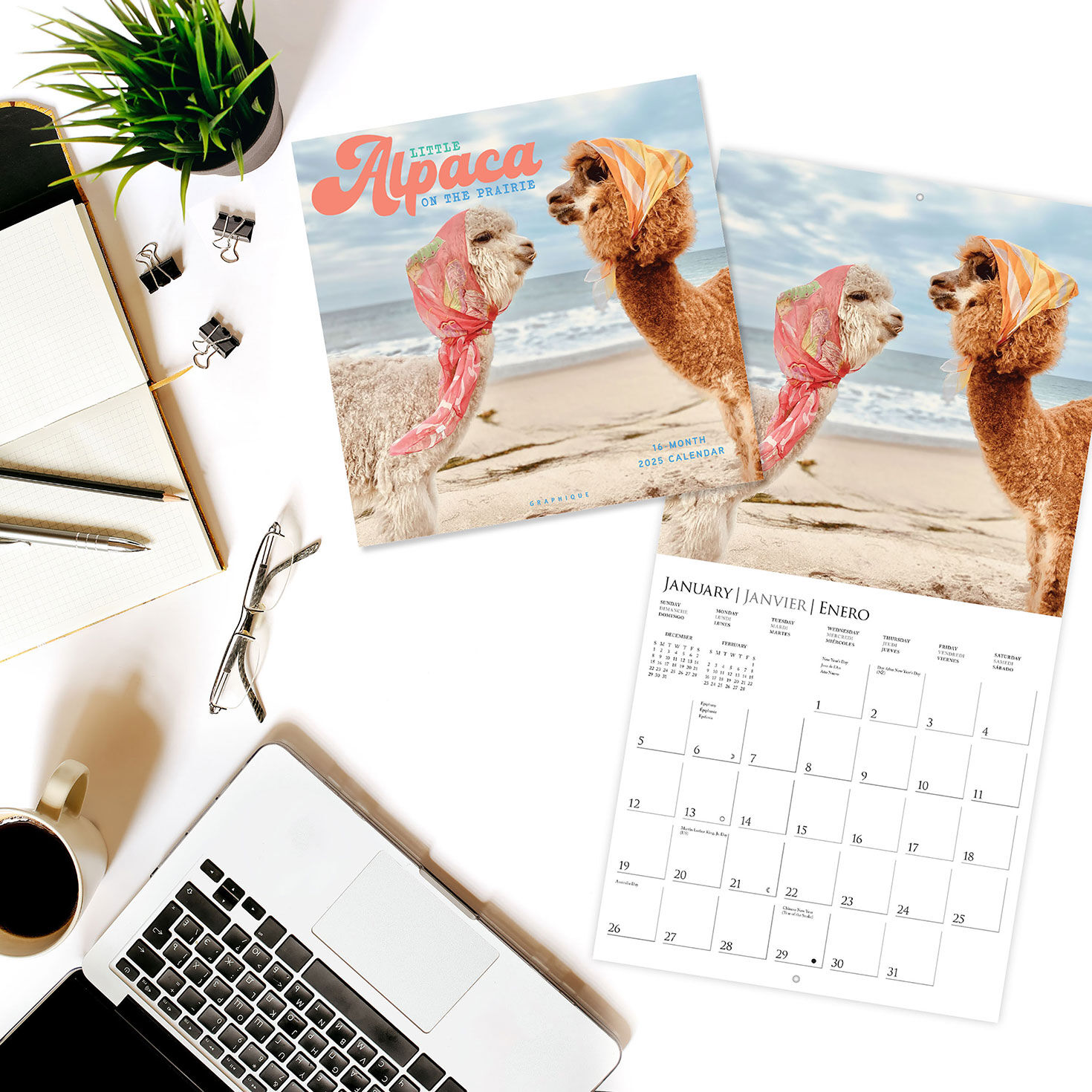 Graphique Little Alpaca on the Prairie 2025 Wall Calendar Calendars