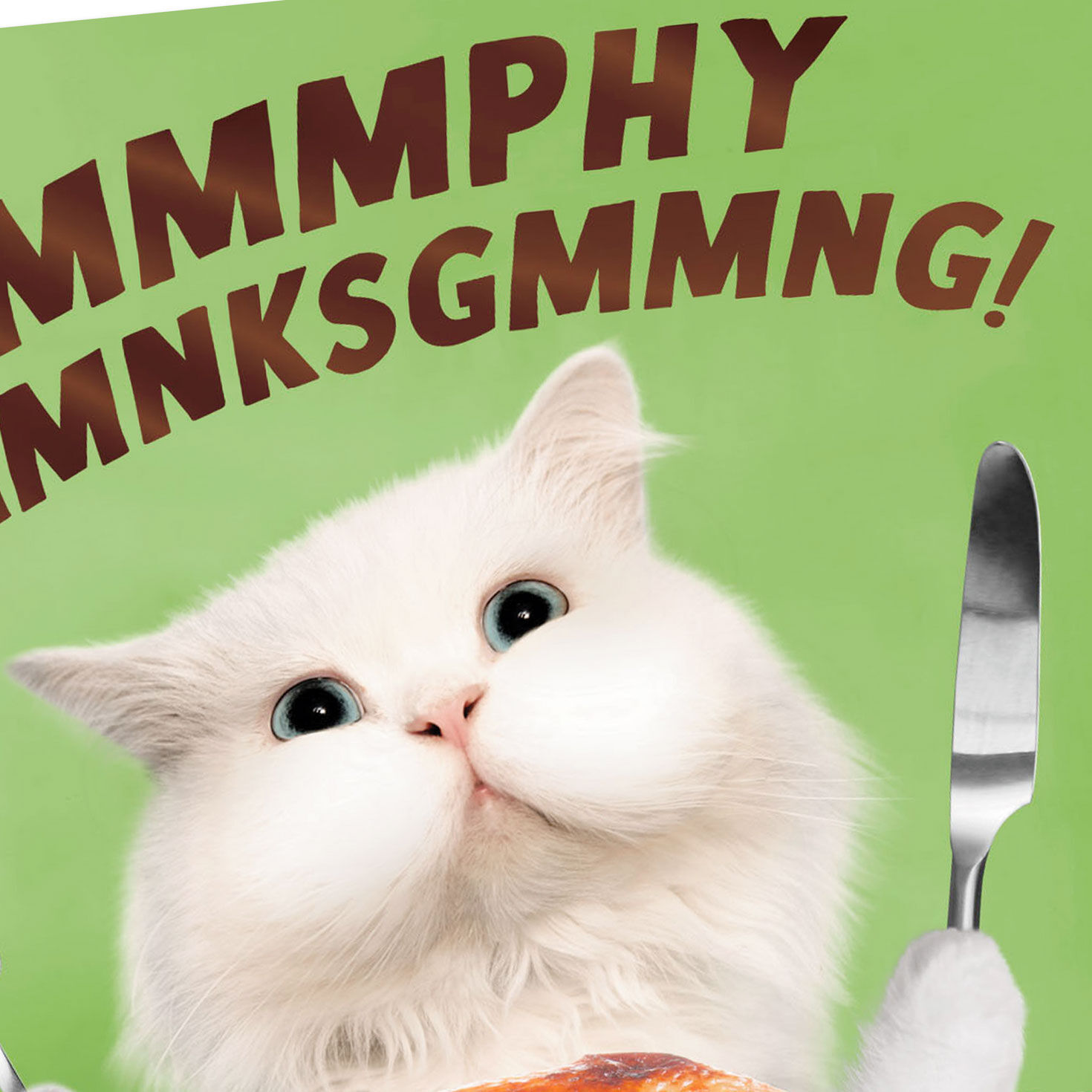 Cat With Roasted Turkey Funny Thanksgiving Card Card Front Detail image number 4