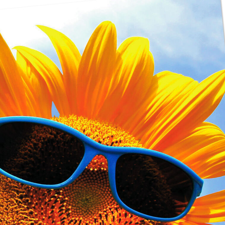 Sunflower in Sunglasses Thinking of You Card Card Front Detail image number 4