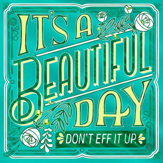 It's a Beautiful Day Funny Birthday Card, , large image number 1