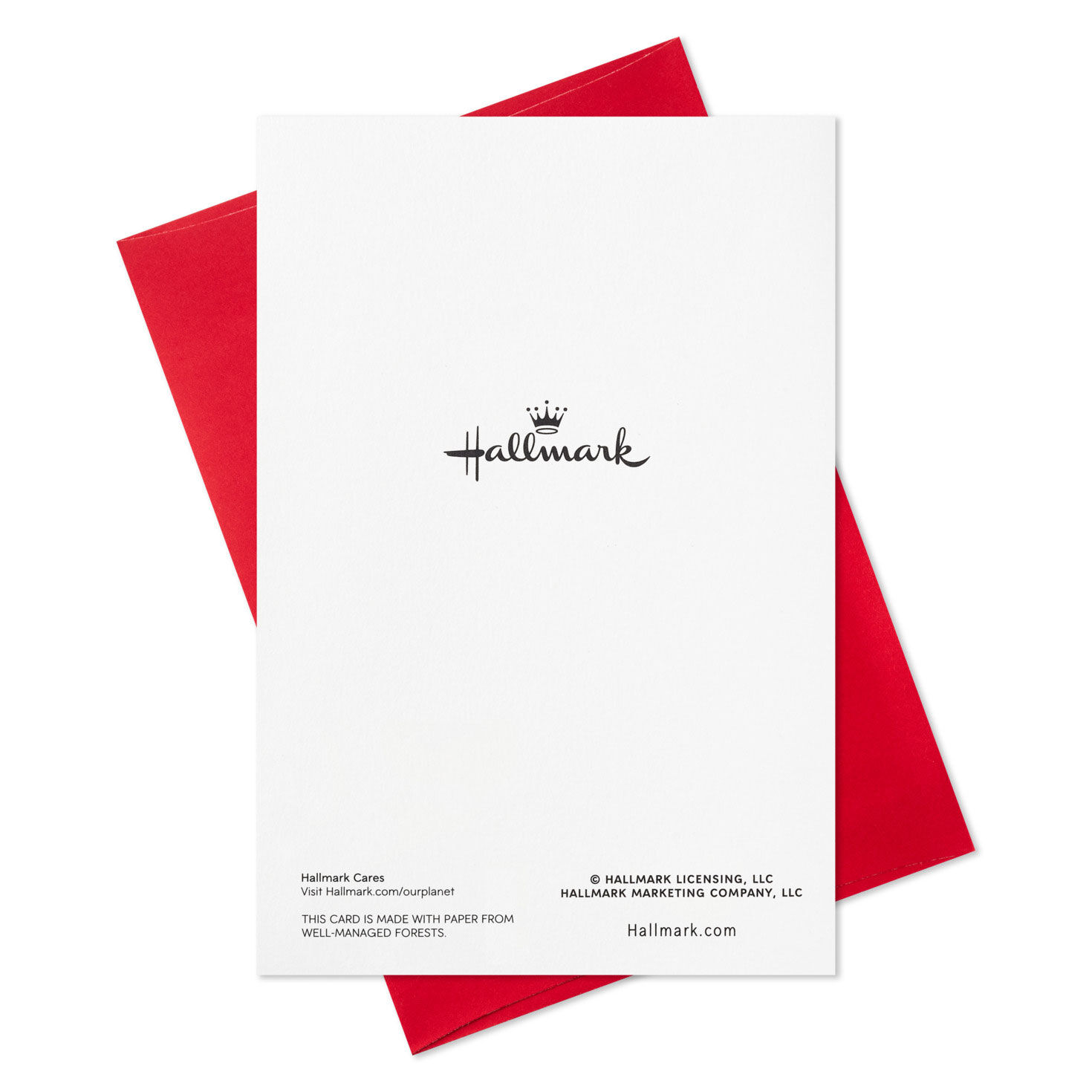 Elegant Evergreen With Star Packaged Christmas Cards, Set of 5 for only USD 5.00 | Hallmark