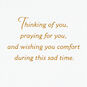 Gold Dragonfly and Leaves Sympathy Card Sentiment image number 2