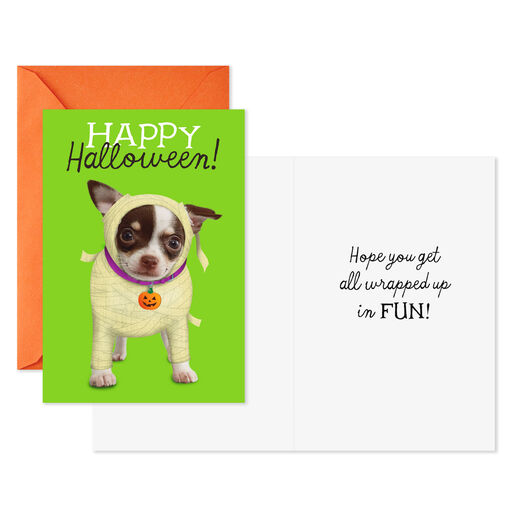 Dogs and Cats in Costume Assorted Halloween Cards, Pack of 8, 