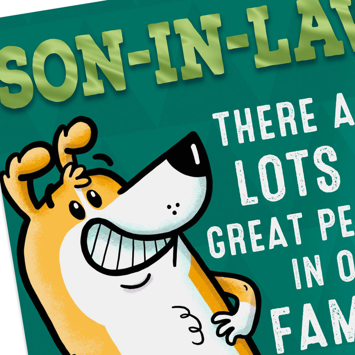 youre special funny birthday card for son in law