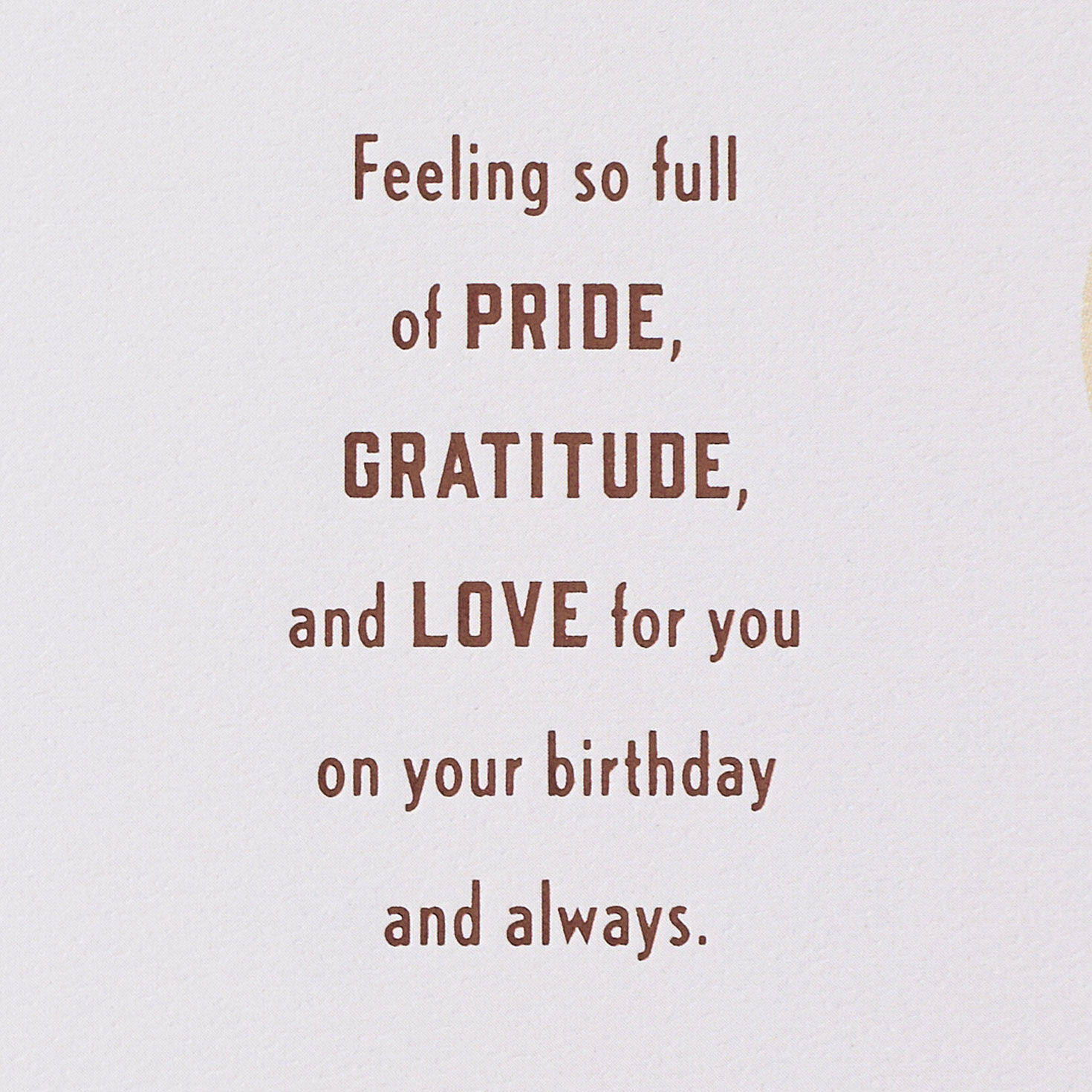 Brown and Gold Country Western Nephew Birthday Card Sentiment image number 2