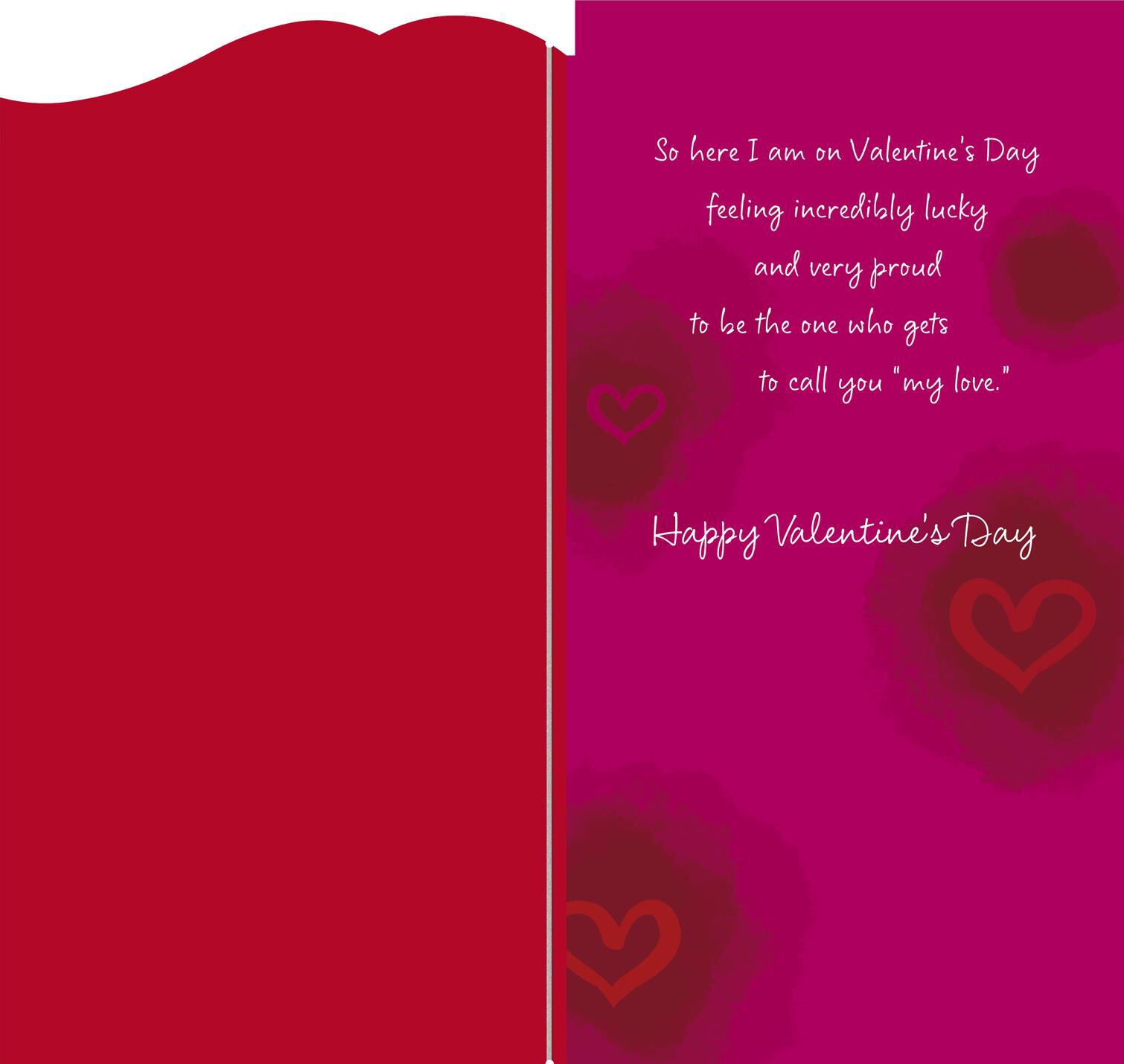 To the Man I Love Valentine's Day Card