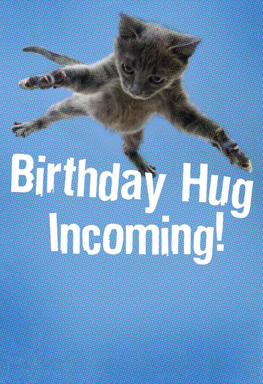https://www.hallmark.com/dw/image/v2/AALB_PRD/on/demandware.static/-/Sites-hallmark-master/default/dw68346374/images/finished-goods/Flying-Cat-Hug-Birthday-Card-root-349HBD2348_PV.1.HBD2348.jpg_Source_Image.jpg