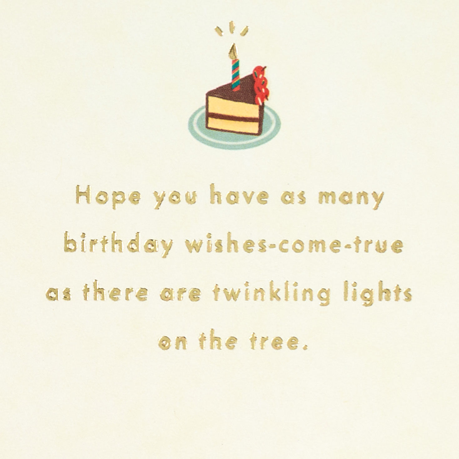 Birthday Cake and Cocoa Christmas Birthday Card Sentiment image number 2