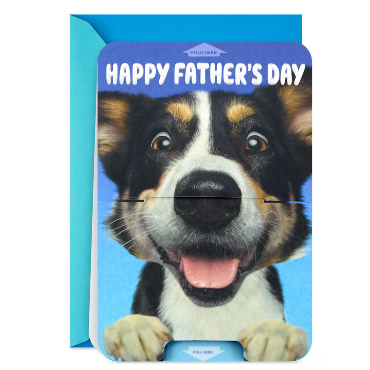 Musical Greeting Cards | Singing Birthday Cards | Hallmark