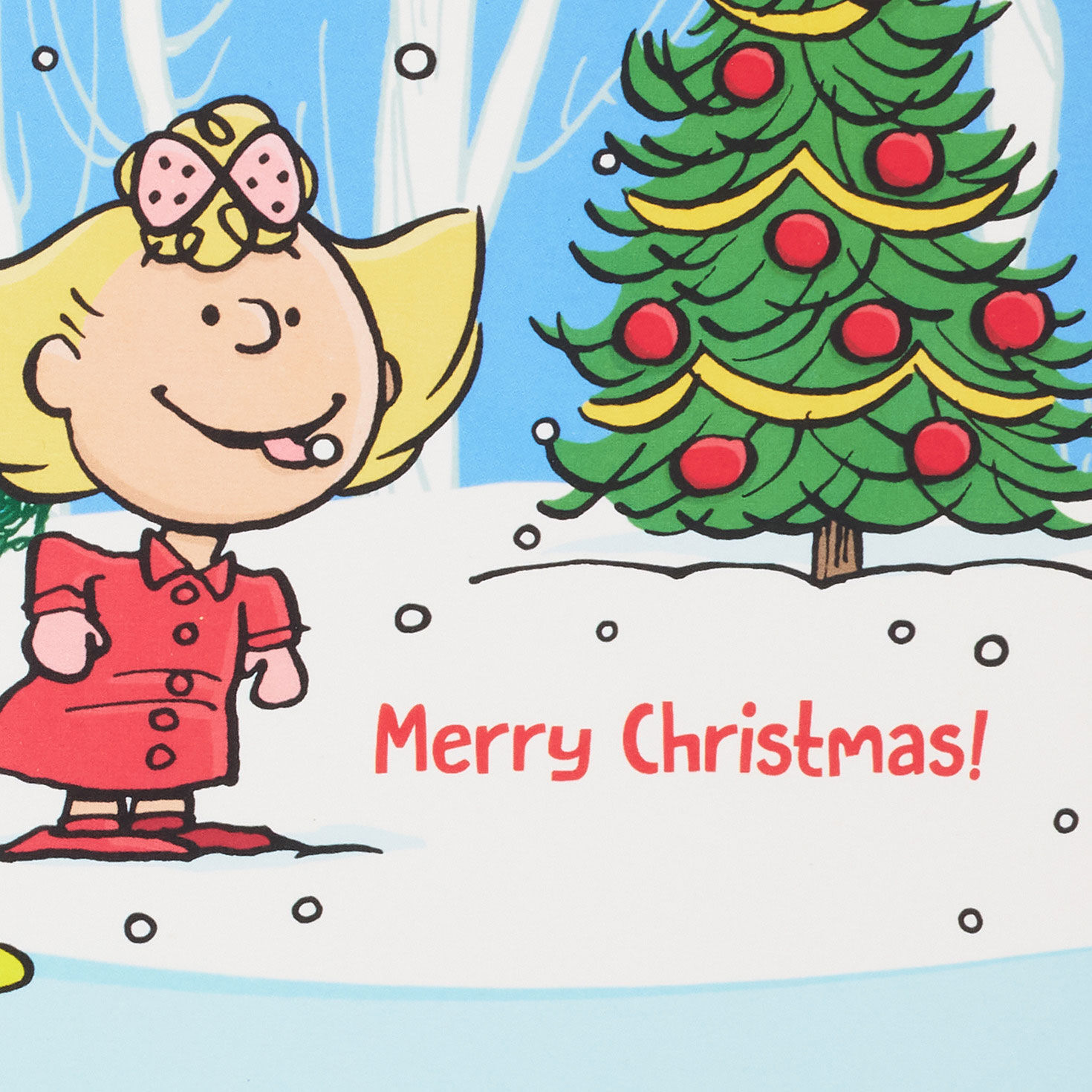 Peanuts Skate DaySpring Religious Christmas Cards Sentiment  image number 4
