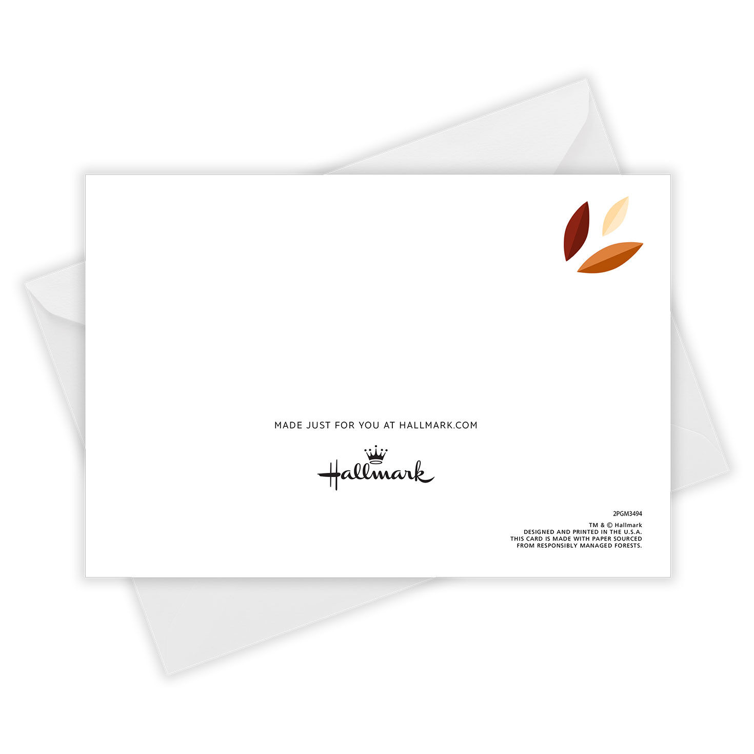White Frame Horizontal Custom Thanksgiving Card, , large image number 5
