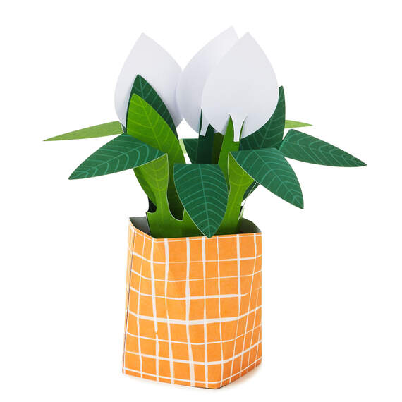 Peace Lily Love You 3D Pop-Up Thinking of You Card, , large image number 2