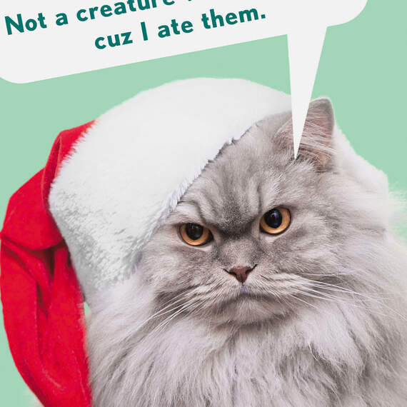 Santa Cat Funny Christmas Card, , large image number 4