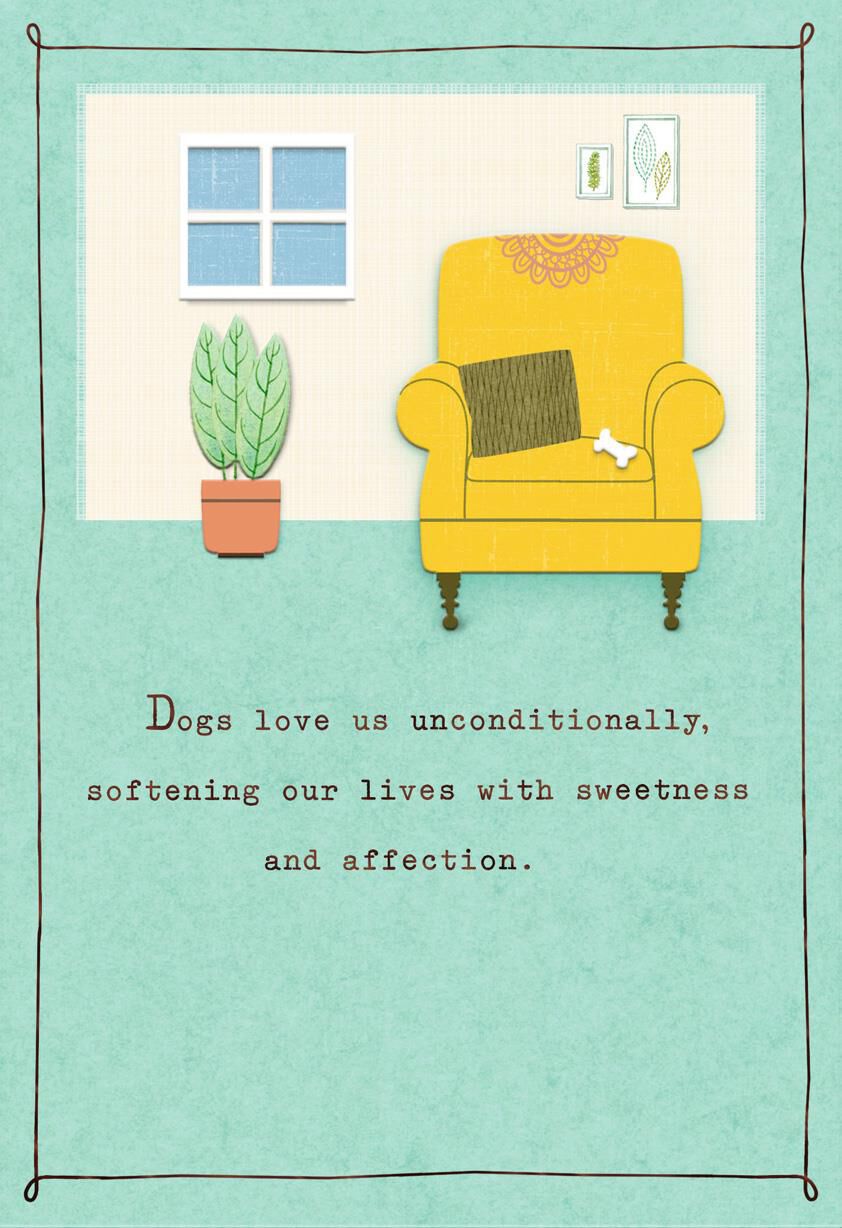 Such Treasures Sympathy Card for Loss of Dog