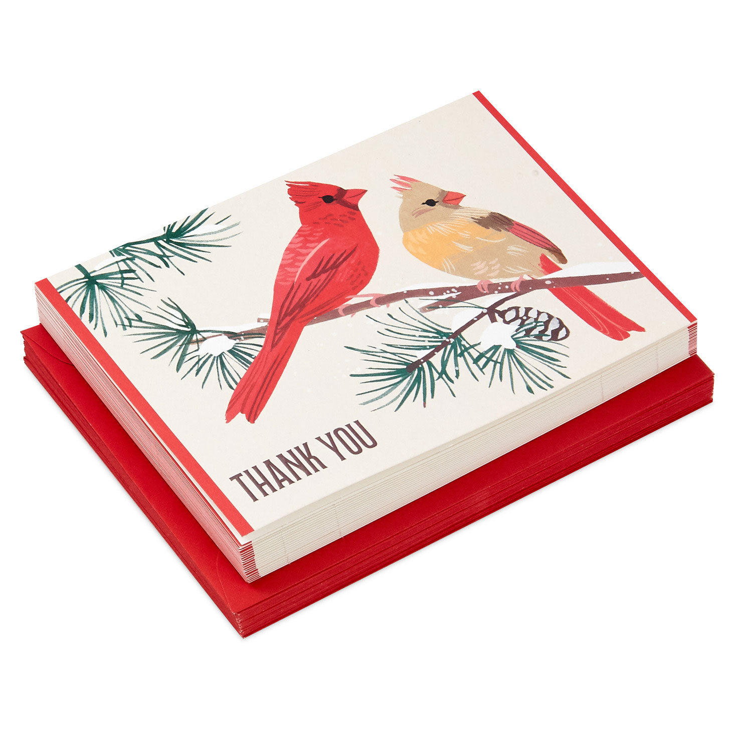 Cardinals in Snow Blank Thank-You Cards, Pack of 20