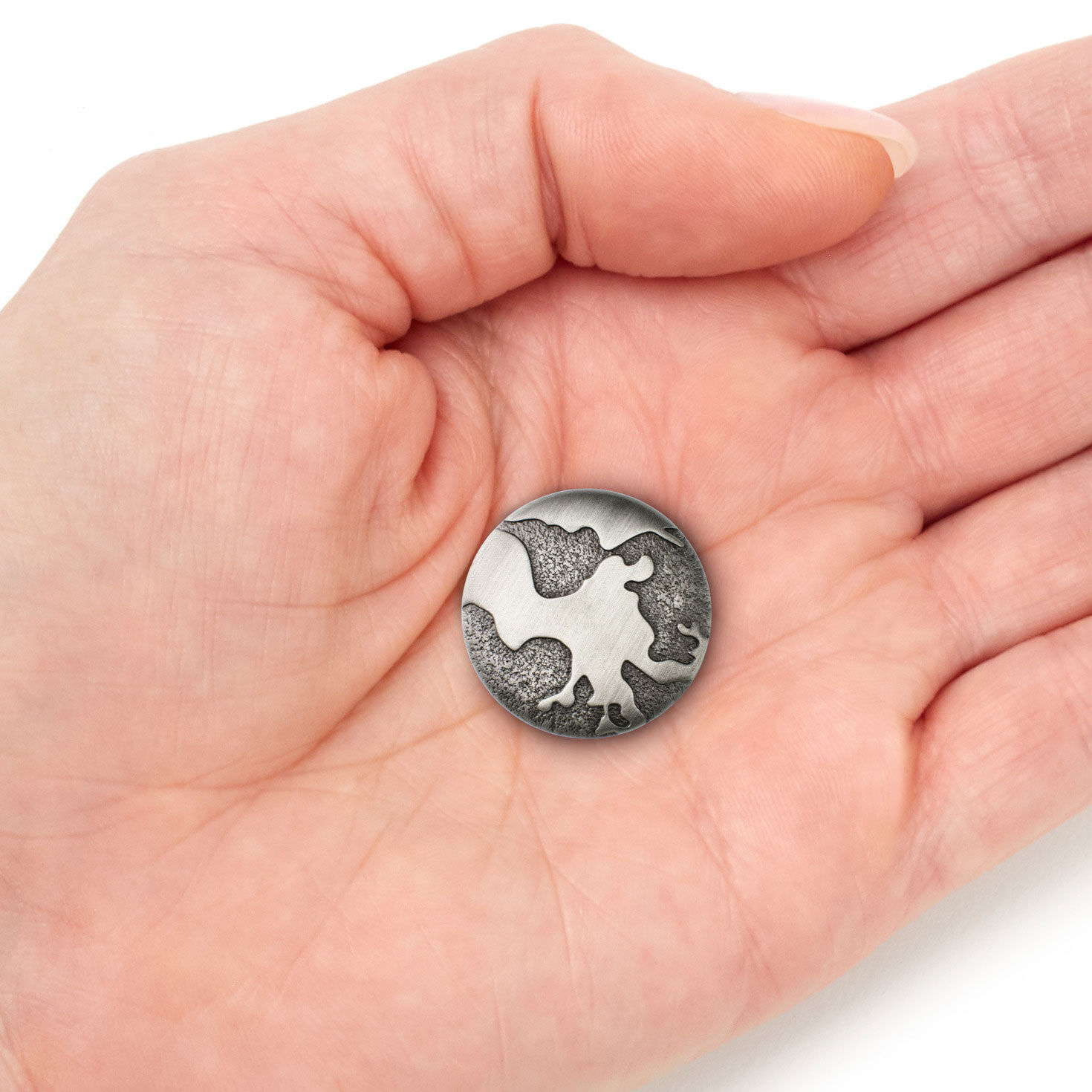 Change the World Metal Pocket Token item on hand image number 4