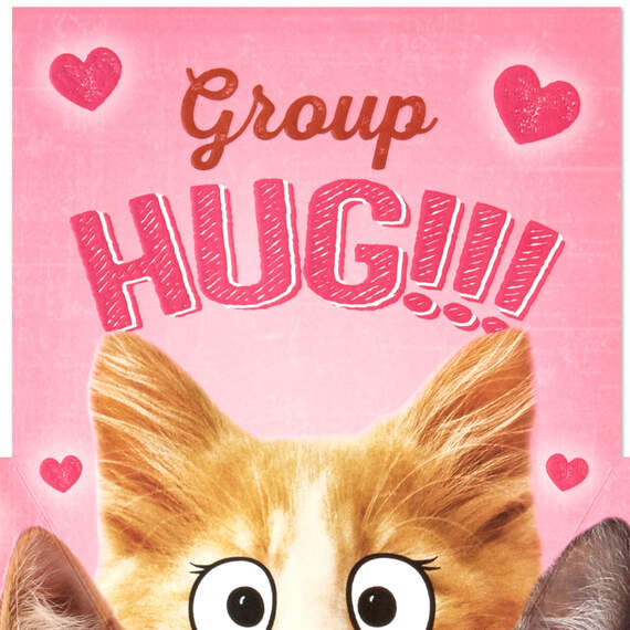 Group Hug Funny Pop-Up Valentine's Day Card From Cat, , large image number 2