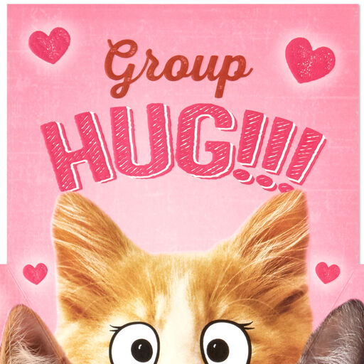 Group Hug Funny Pop-Up Valentine's Day Card From Cat, 