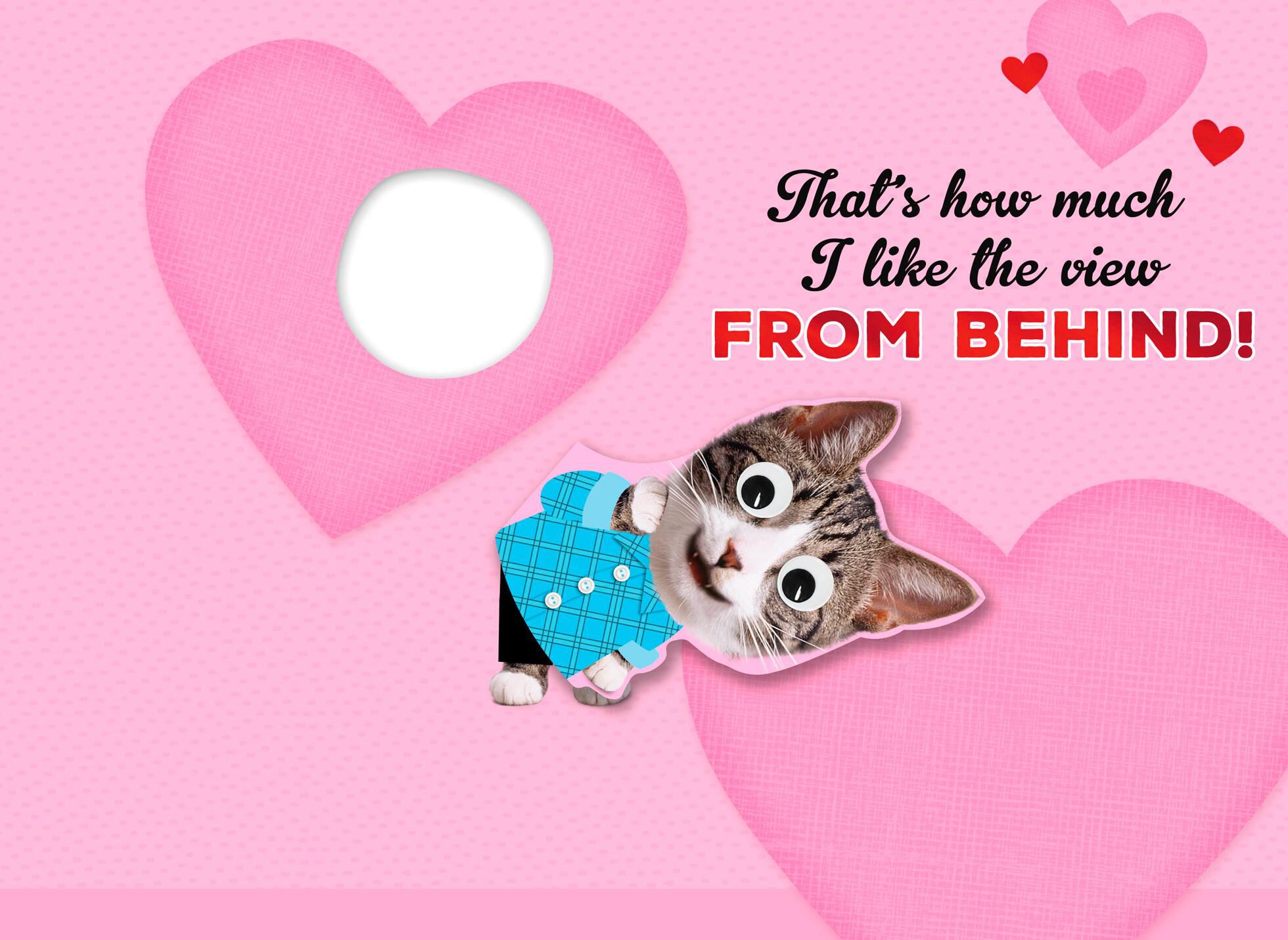 Romantic Cat Valentine's Day Card