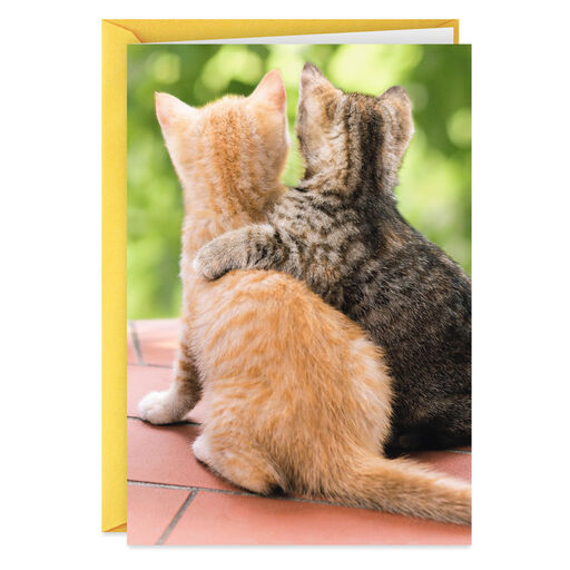 A Friend Like You Two Kittens Friendship Card, 