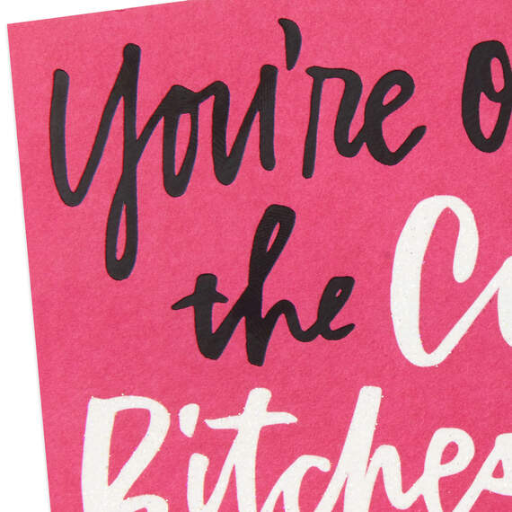 You're One of the Coolest Bitches Ever Funny Birthday Card, , large image number 4