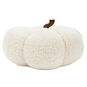 White Plush Fabric Pumpkin Fall Decoration  image number 2