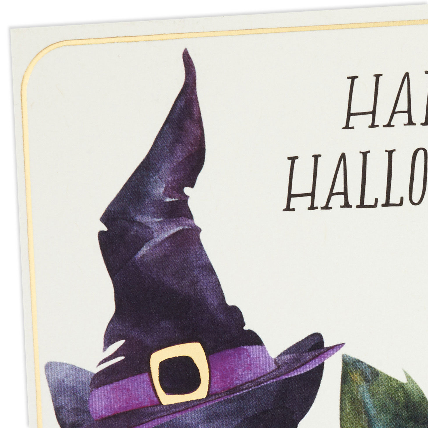 Black Cat in Witch Hat Halloween Cards Pack Cover Detail image number 4
