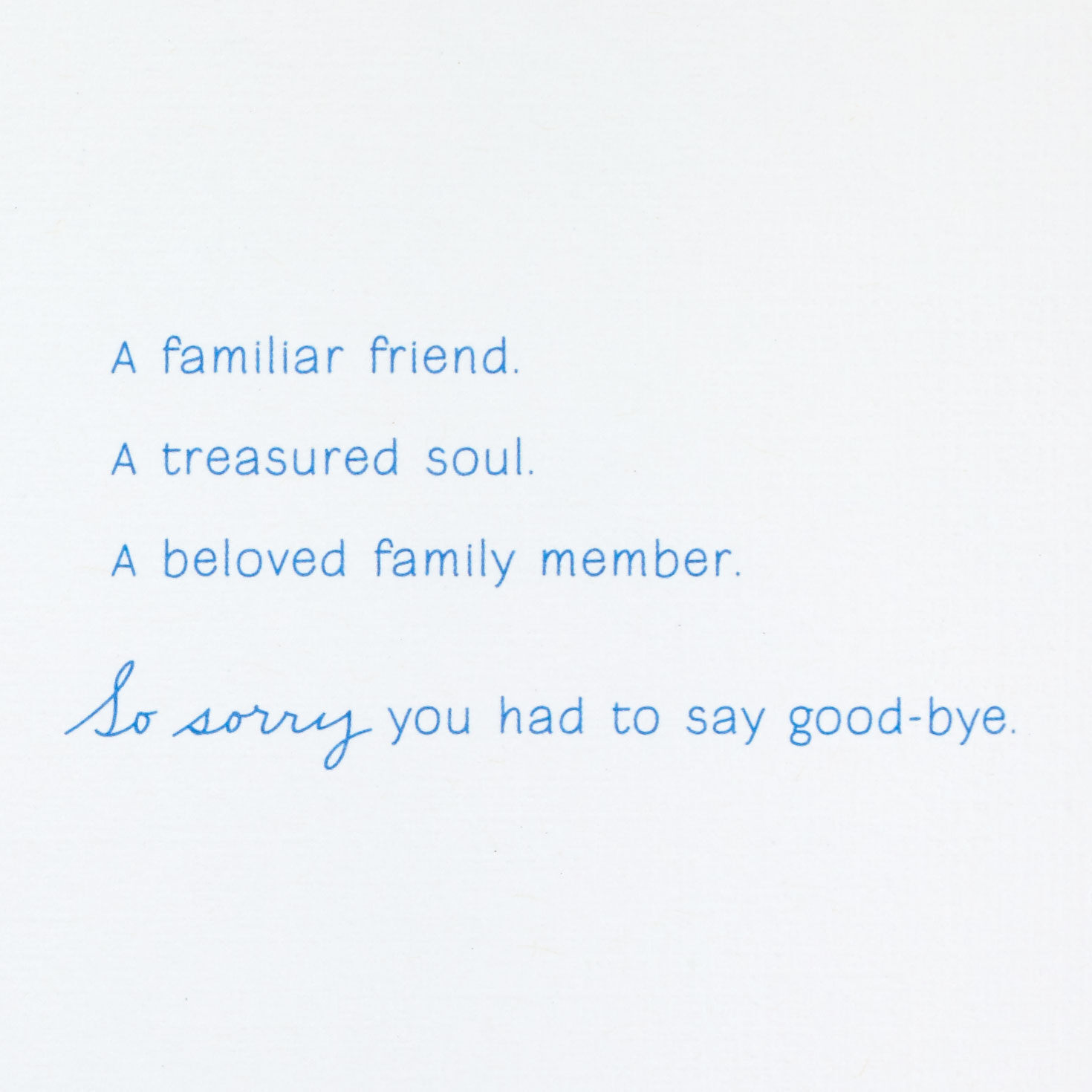 Sunlit Forest Sympathy Card for Loss of Cat for only USD 3.59 | Hallmark