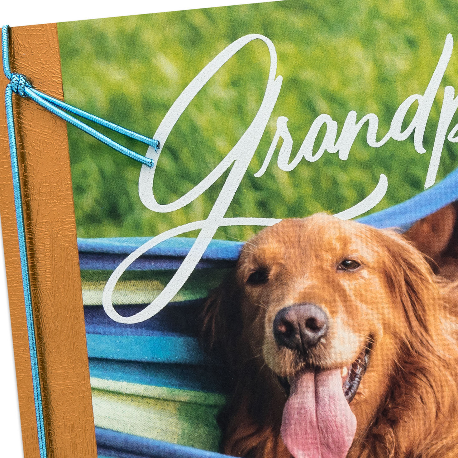 Dog in Hammock Grandpa Birthday Card Card Front Detail image number 4